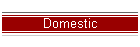 Domestic